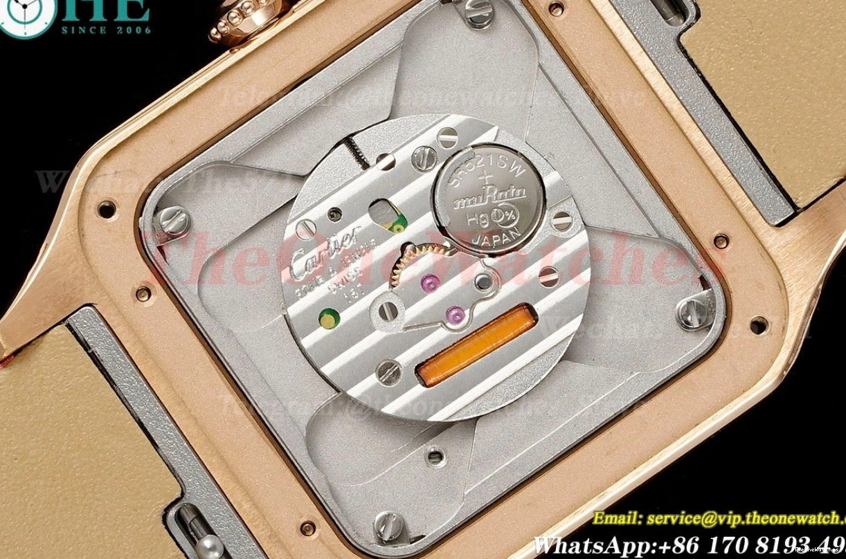 Dumont RG SA AF Quartz Santos Dial Dia Silver Red 0308